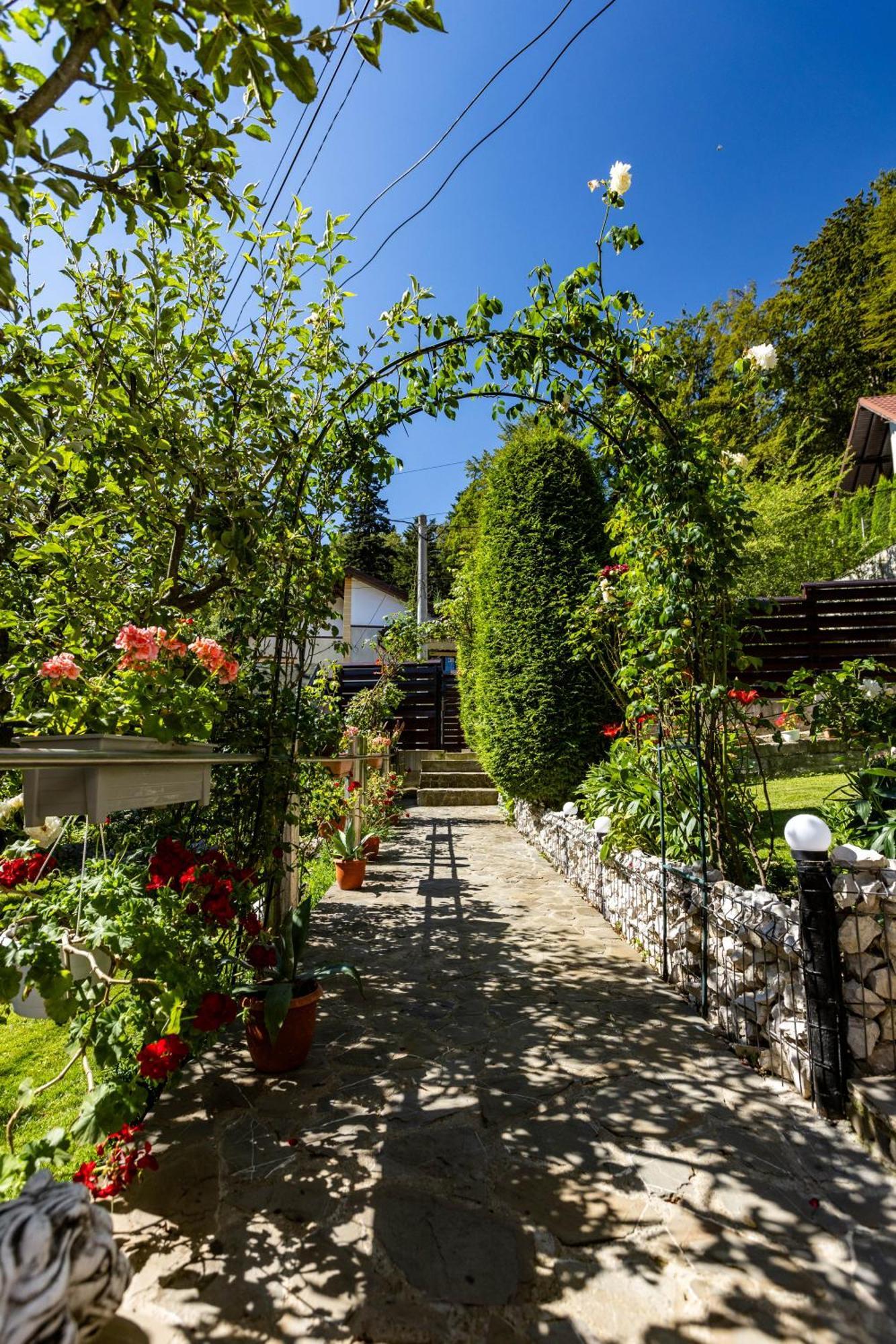 Villa Falco Bianco Buşteni Esterno foto