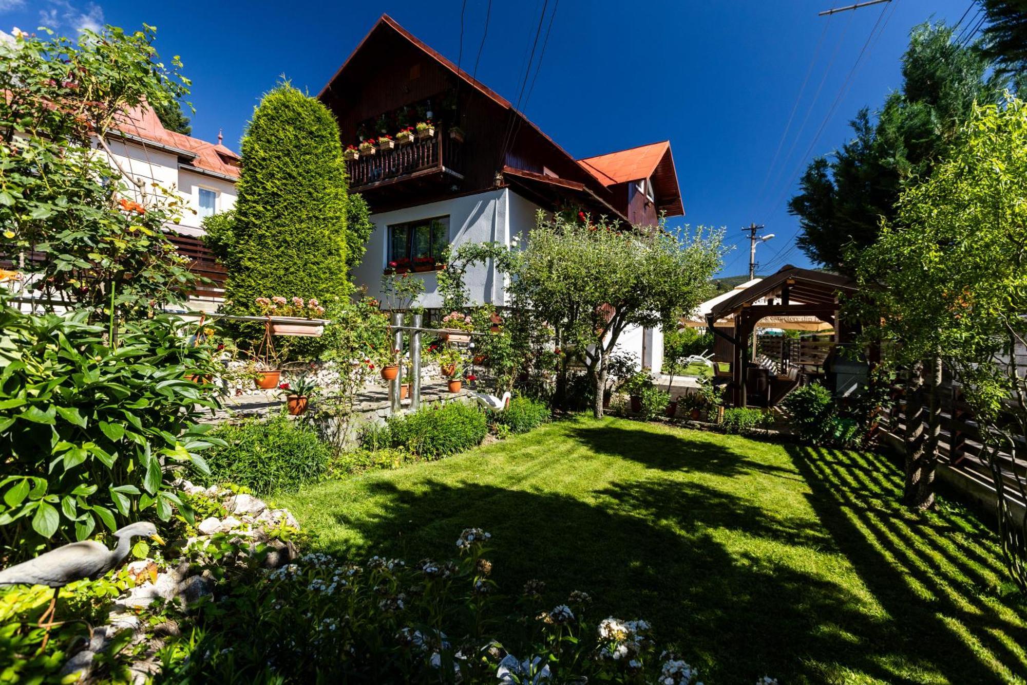 Villa Falco Bianco Buşteni Esterno foto