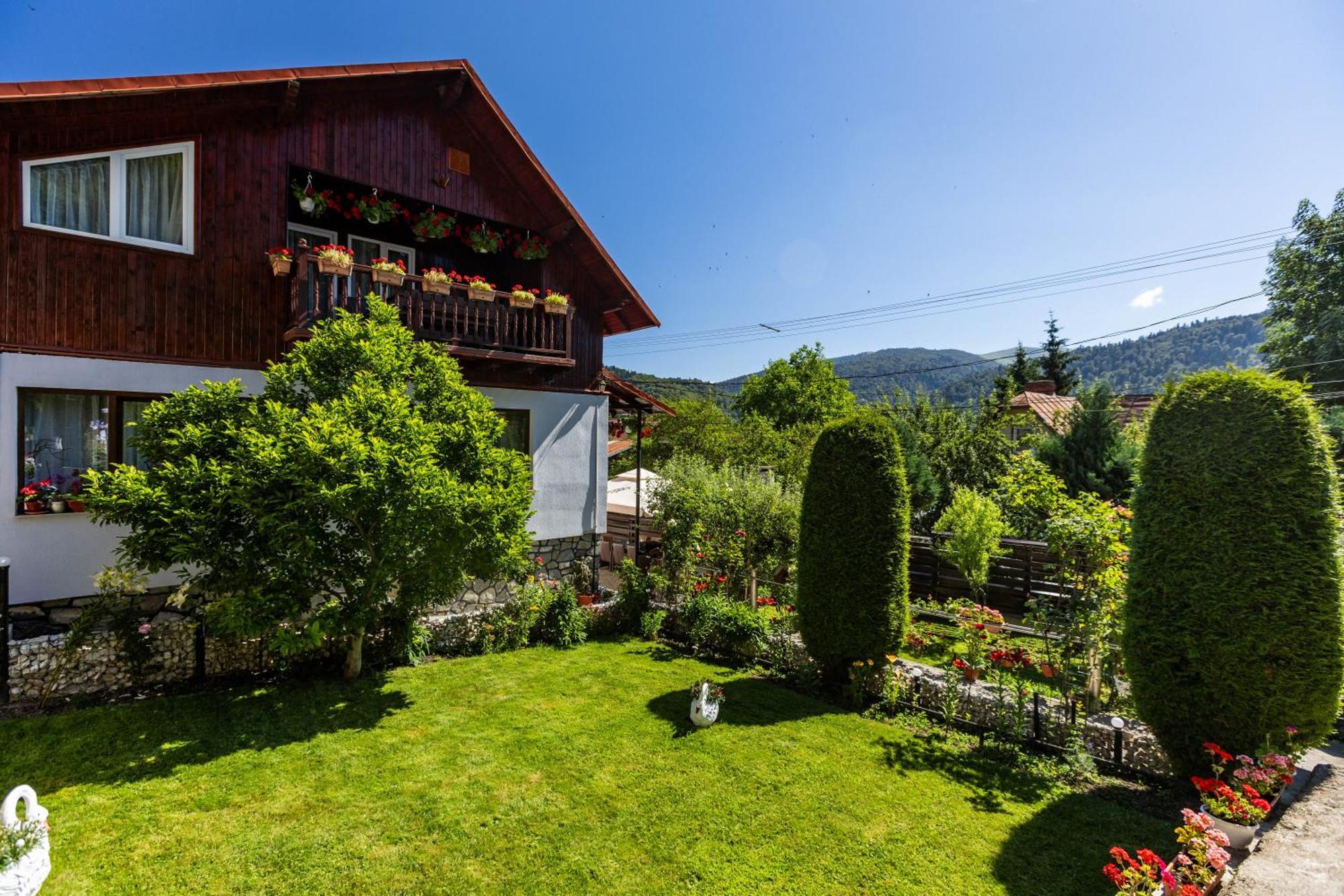 Villa Falco Bianco Buşteni Esterno foto